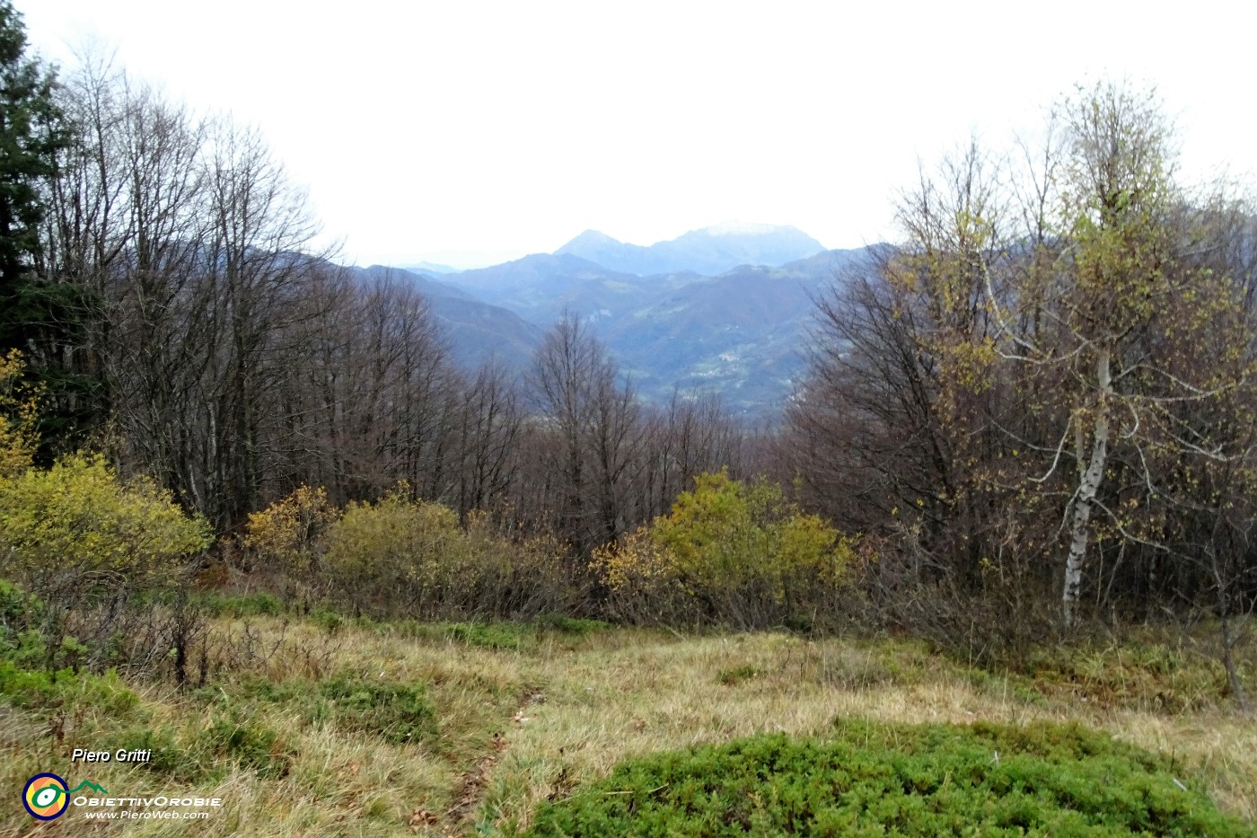 92 Dalla Sella del Sornadello (1530 m) sul sent. 595 rientro alla Forcella di Bura.JPG